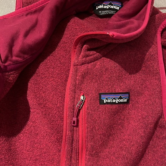 PATAGONIA  Warm fleecy vest. Lots of wear left. Perfect for travelling, too. - Picture 2 of 7